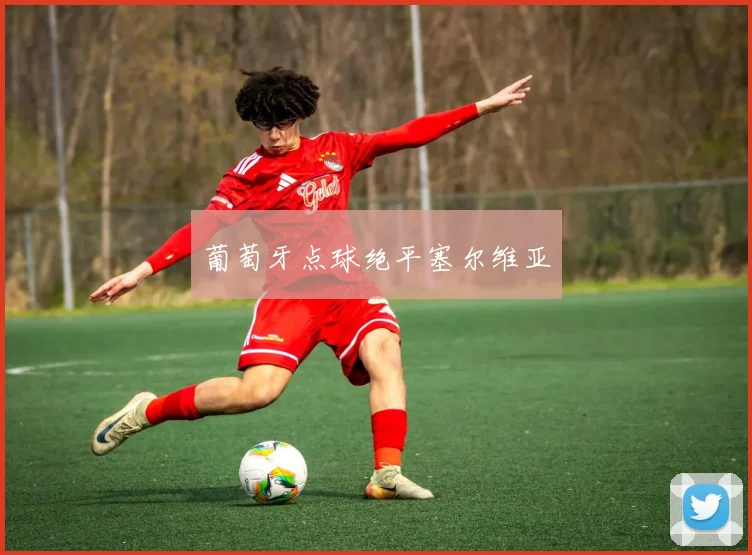 葡萄牙点球绝平塞尔维亚