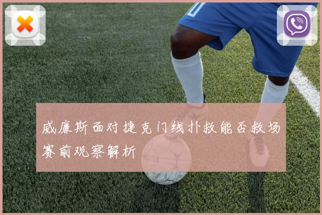 威廉斯面对捷克门线扑救能否救场赛前观察解析