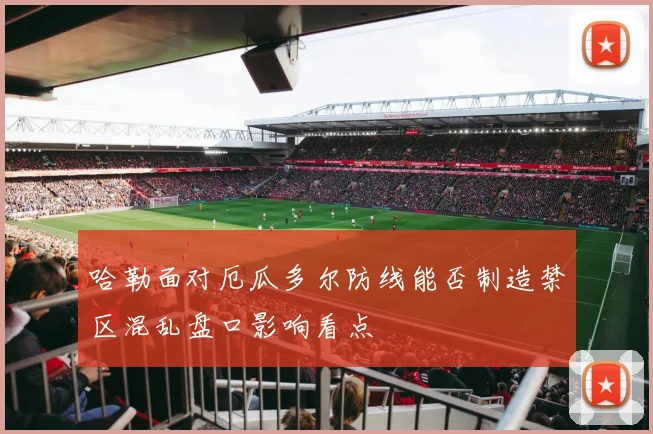 哈勒面对厄瓜多尔防线能否制造禁区混乱盘口影响看点